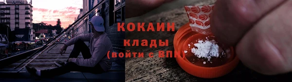 шишки Баксан