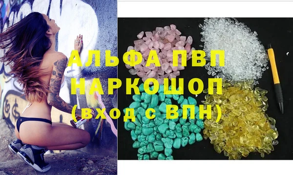 шишки Баксан