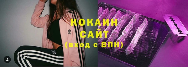 шишки Баксан