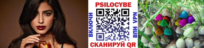 OMG маркетплейс  где купить наркоту  Фокино  Псилоцибиновые грибы Cubensis 