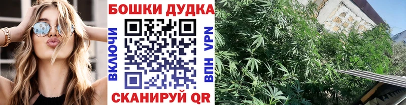 Марихуана семена  Фокино 